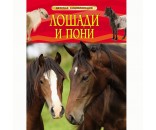 Книга 978-5-353-06899-0 Лошади и Пони. Детская энциклопедия