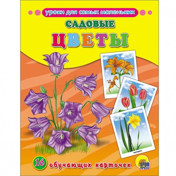 Обучающие карточки.Садовые цветы 978-5-378-26312-7