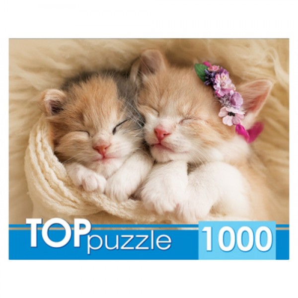 Пазл 1000 Два спящих котенка ГИТП1000-2142